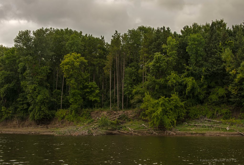 lush greens along the mississippi