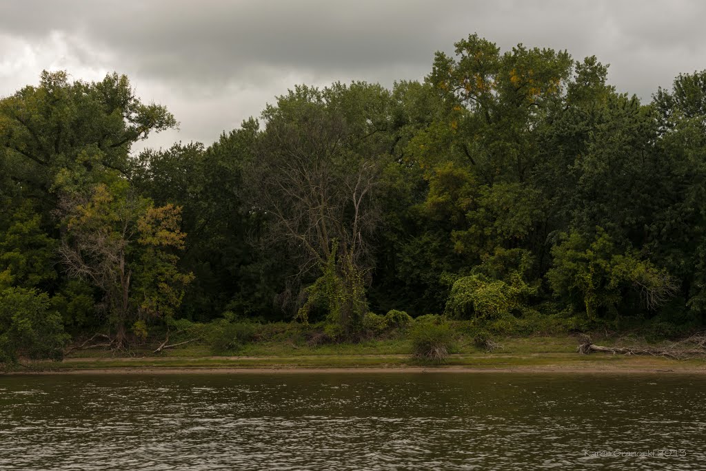 lush greens along the mississippi