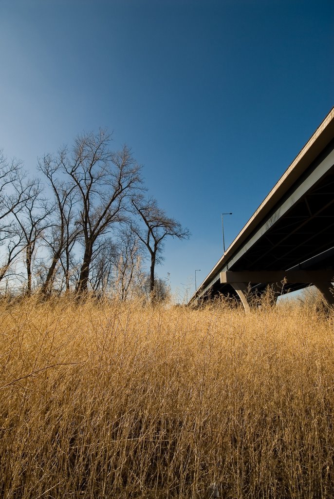 I-35E Bridge from Crosby Farm Regional Park