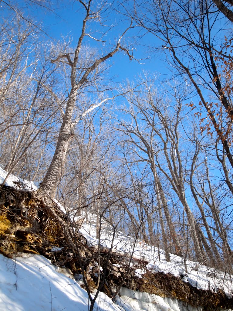Cherokee Park, St. Paul