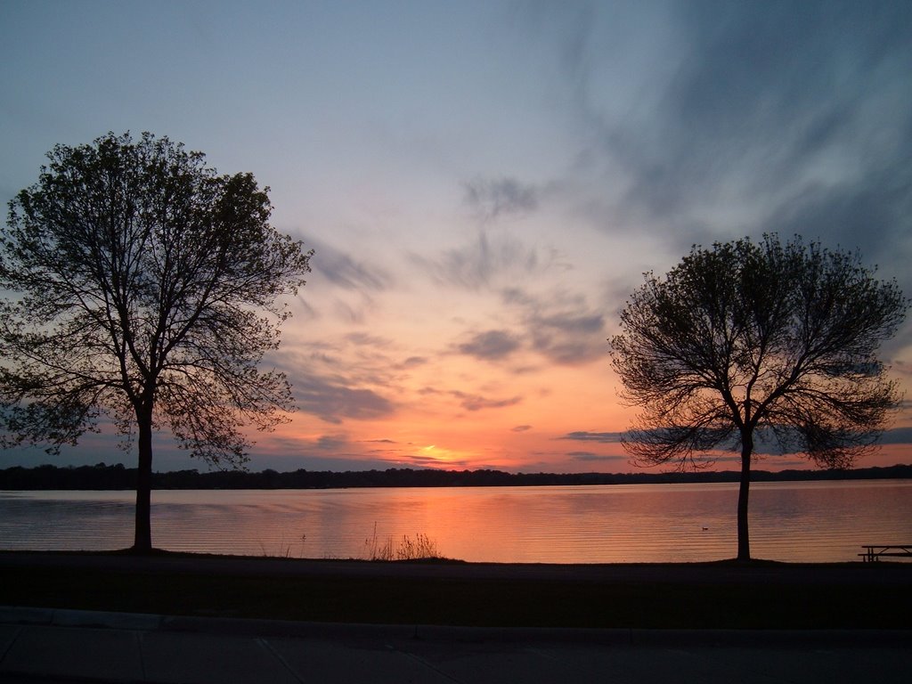 May 2005 - Plymouth, Minnesota. Pair of trees on the shore of Medicine Lake at sunset.