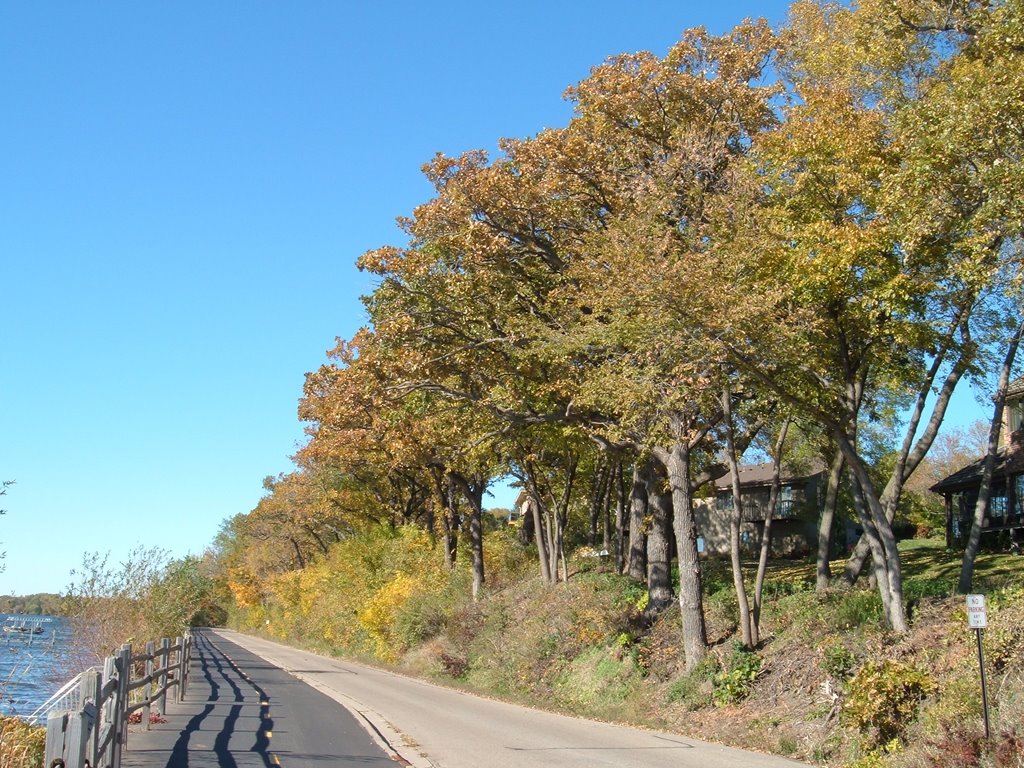 Oct 2005 - Plymouth, Minnesota. Fall colors along Medicine Lake.