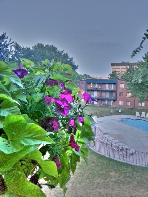 Apartment courtyard