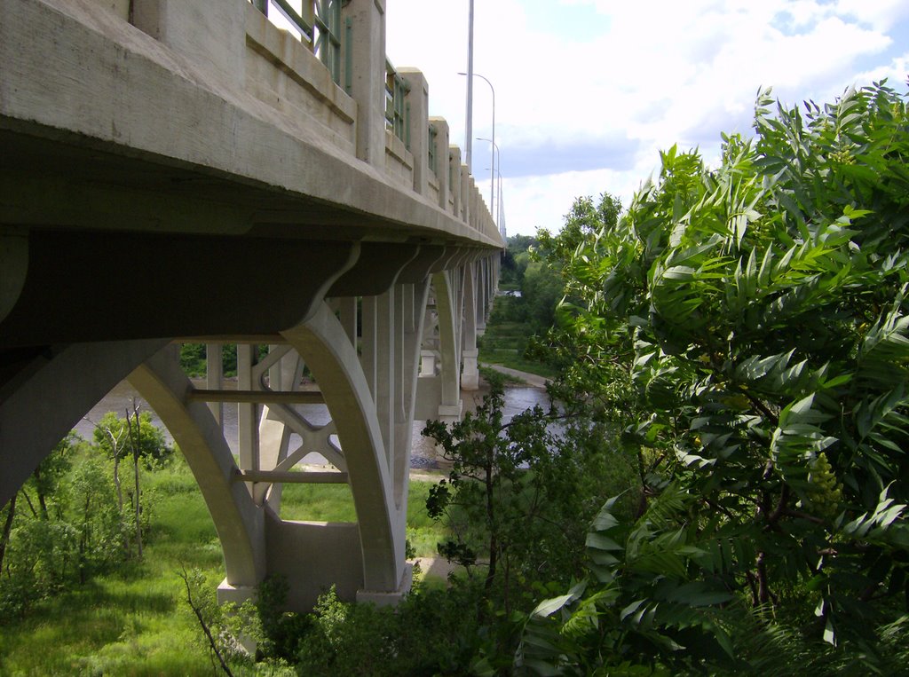 Mendota Bridge