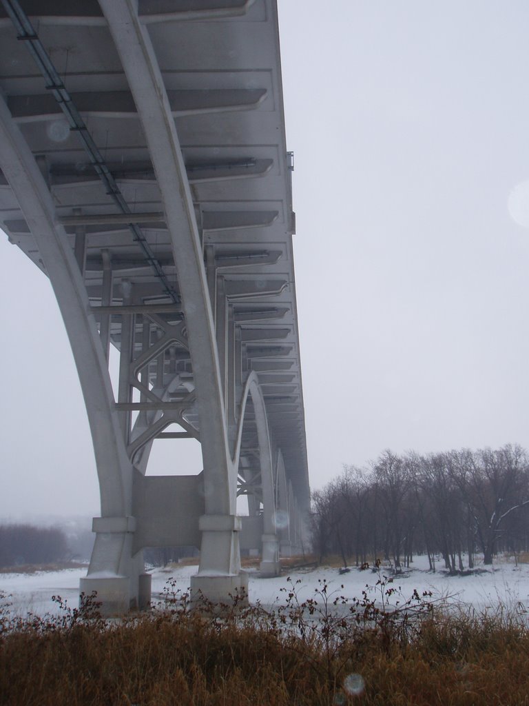 Under the Mendota Bridge