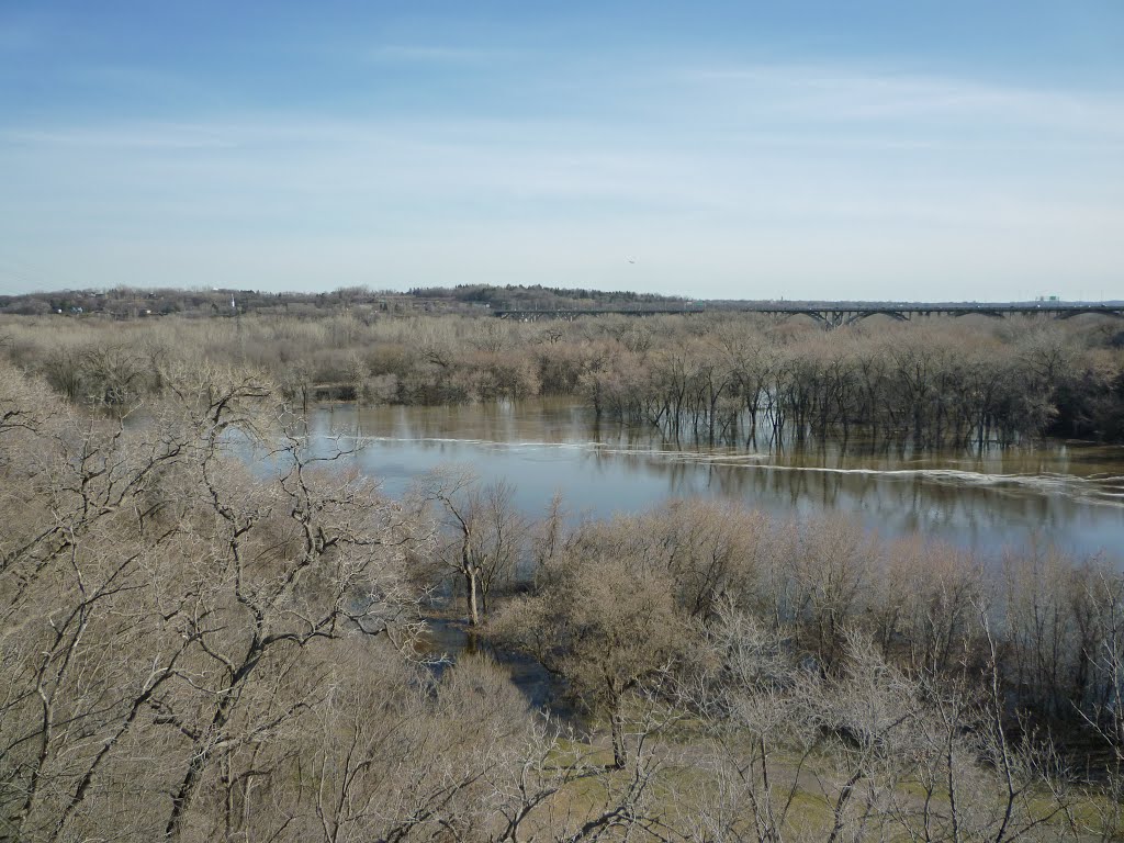 The Confluence of  the Minnesota and Mississippi Rivers