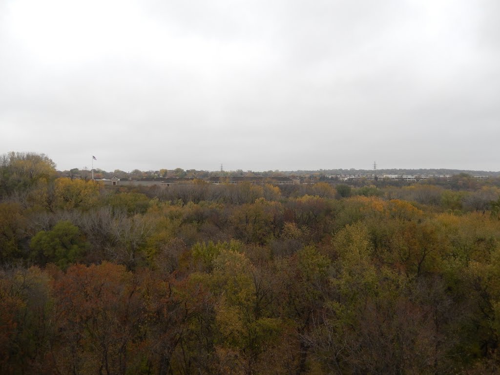 Fort Snelling