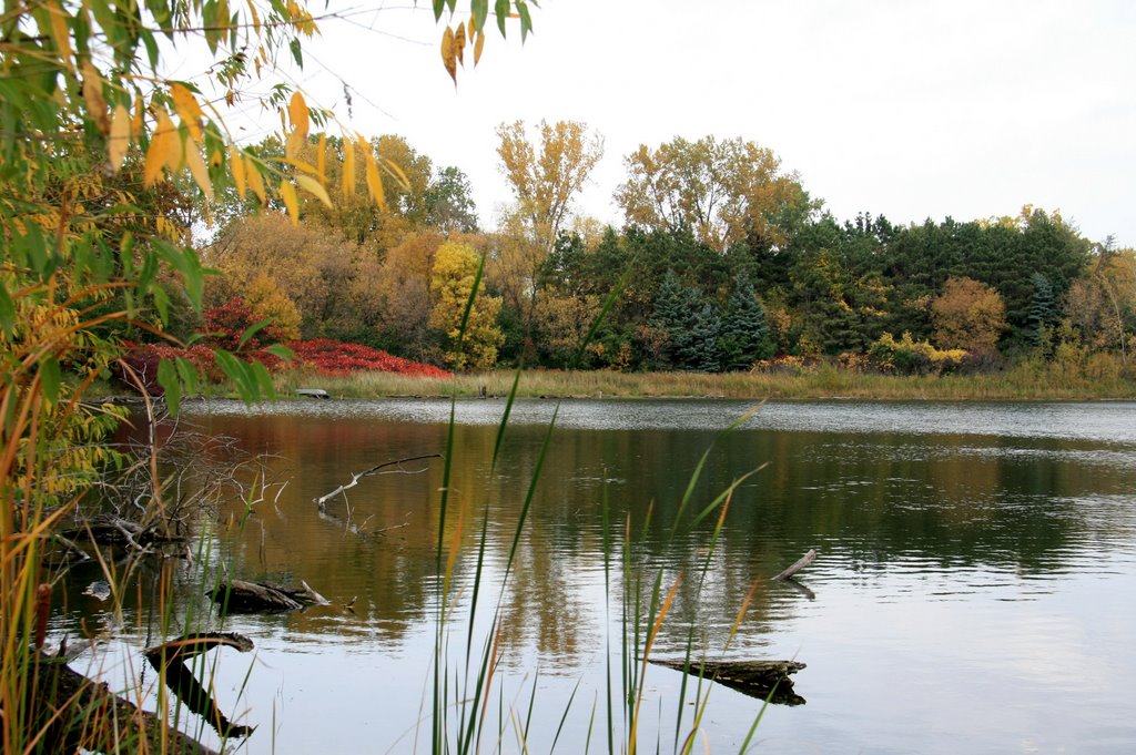 Mendota Heights, fall