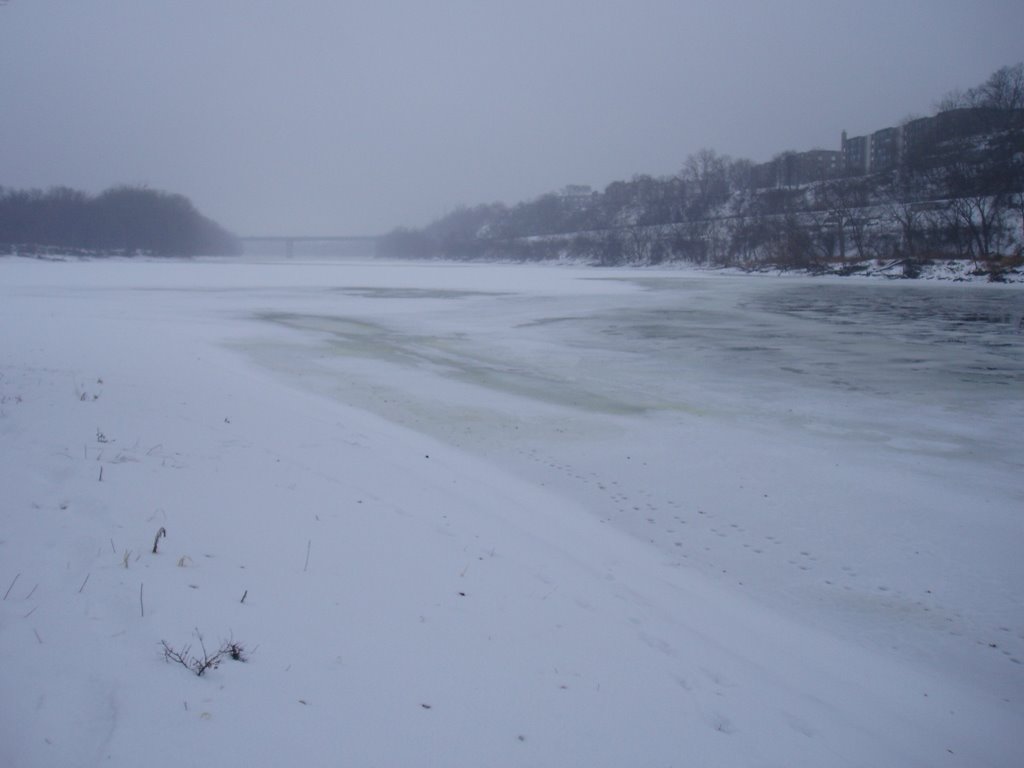 the confluence of the Mississippi & Minnesota Rivers w/ Lilydale on the right bank