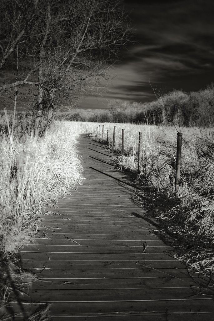 Boardwalk - Crosby Farm Regional Park