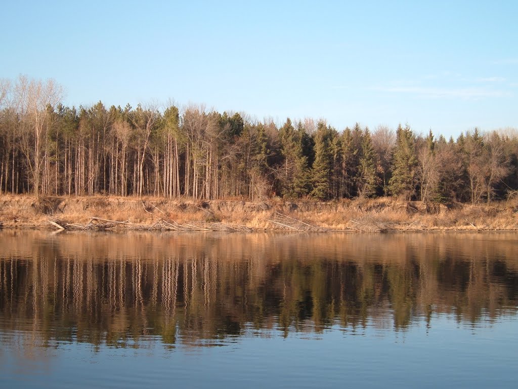 Nov 2006 - Minneapolis, Minnesota. Trees reflecting on the Mississippi River from Pike Island in Fort Snelling State Park.