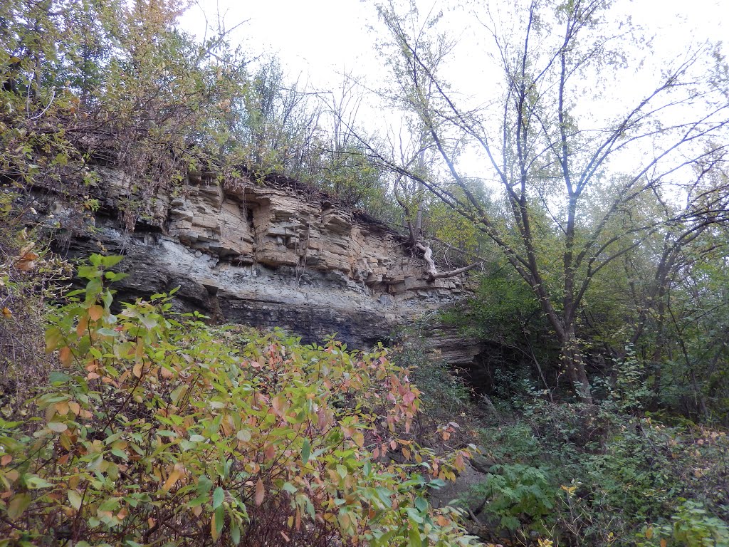 Mudslide Country