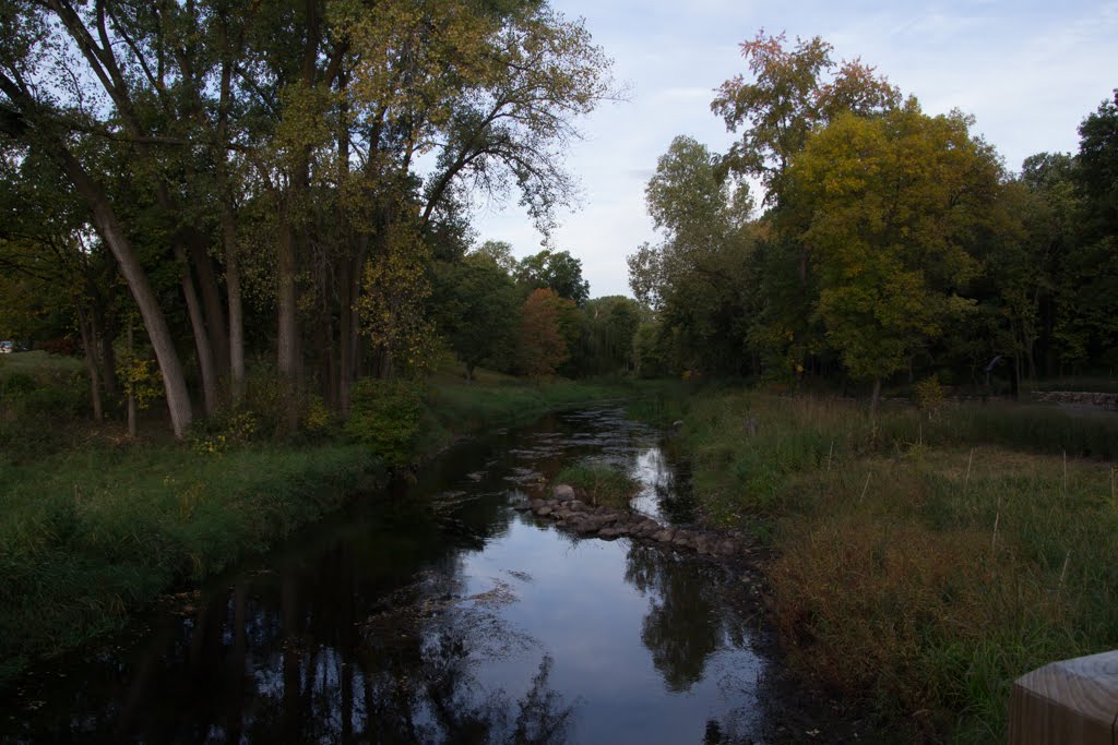 A Foggy Morning Minnehaha Creek