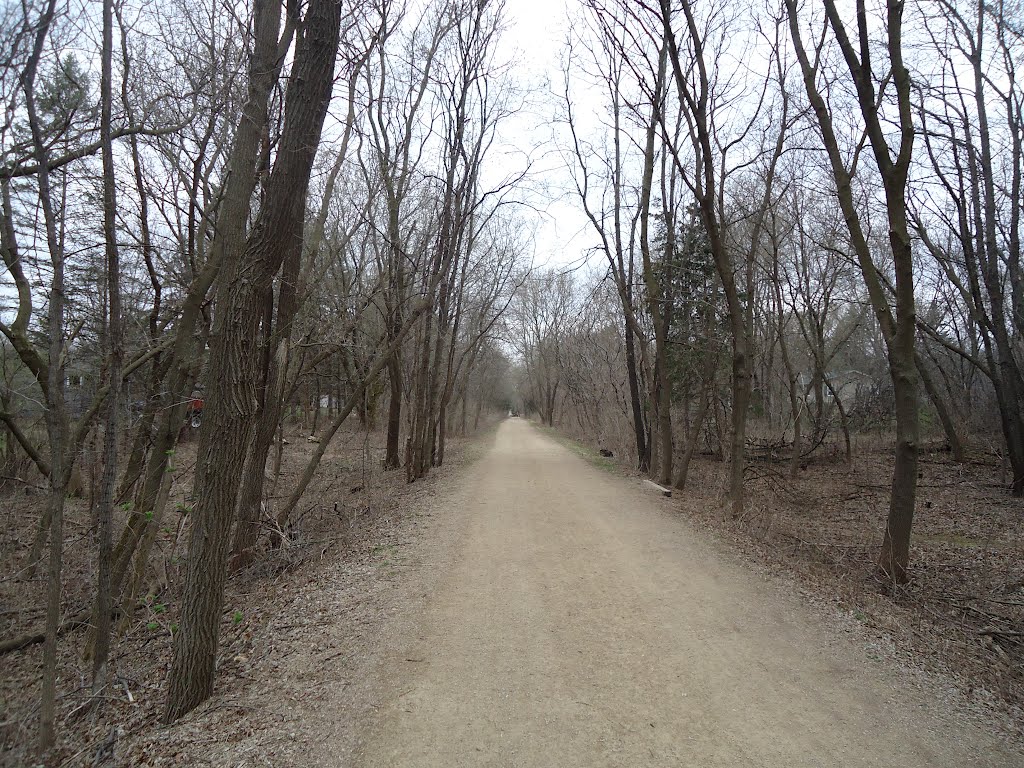 North LRT Trail