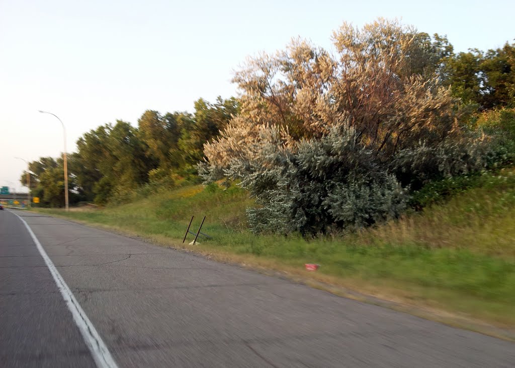 Interstate 35W - Arden Hills, MN