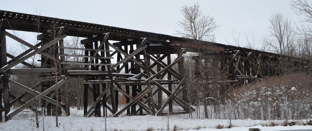 Albany, MN