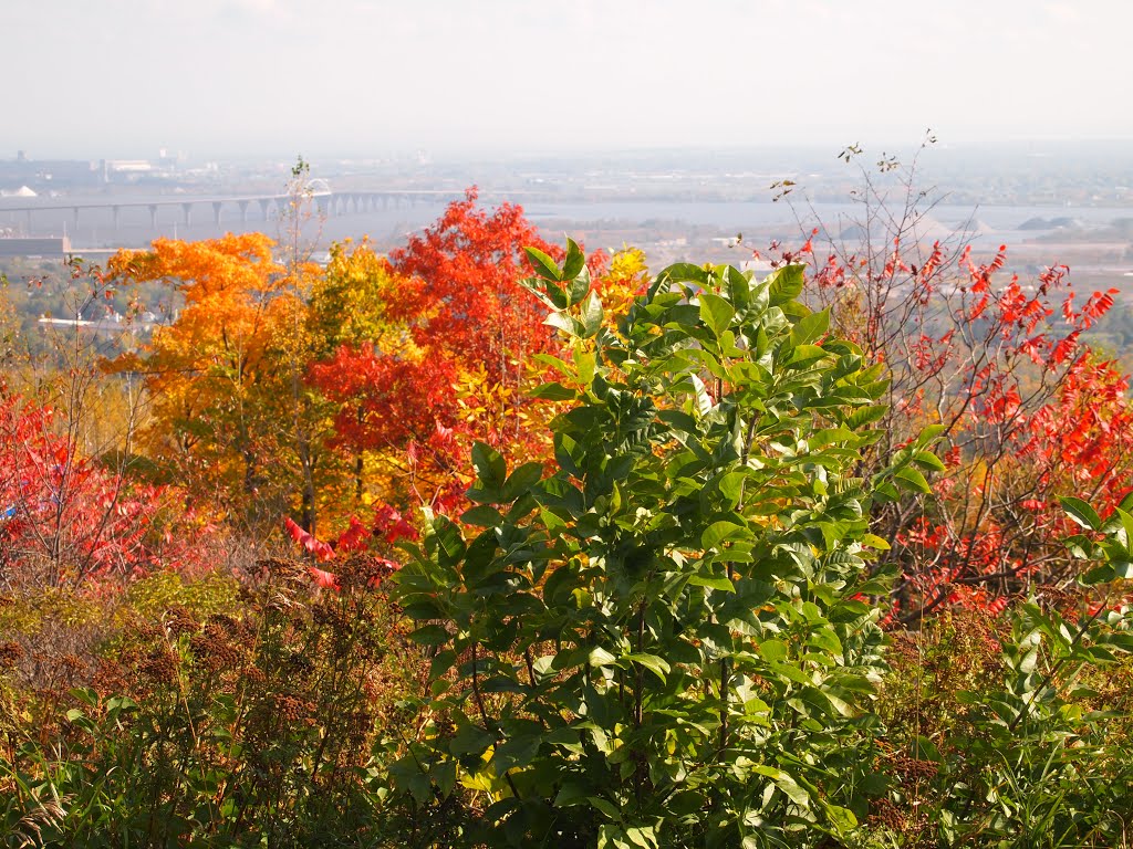 Duluth Colors looking at the Bong Bridge
