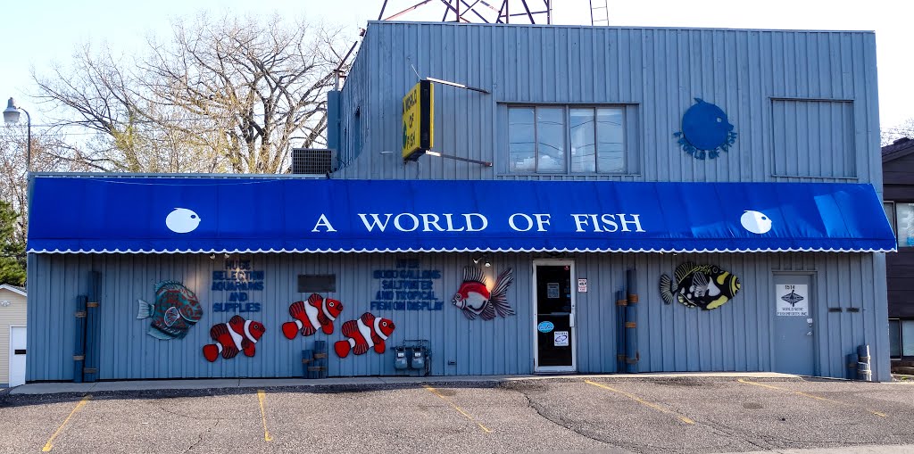 A WORLD OF FISH ... RICHFIELD MN.
