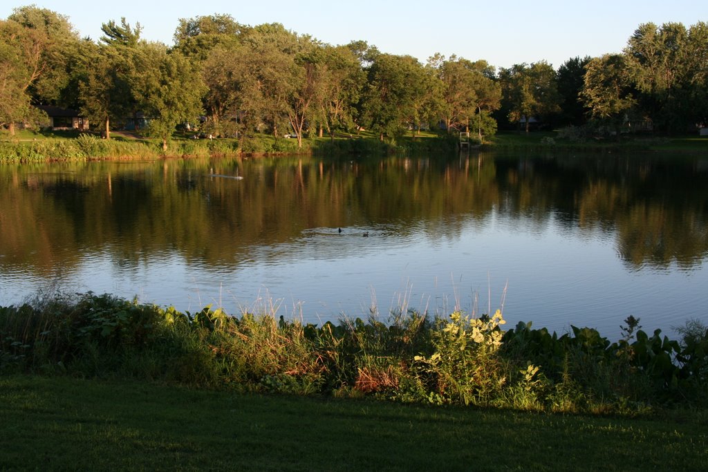Wilson Park Pond in Richfield...