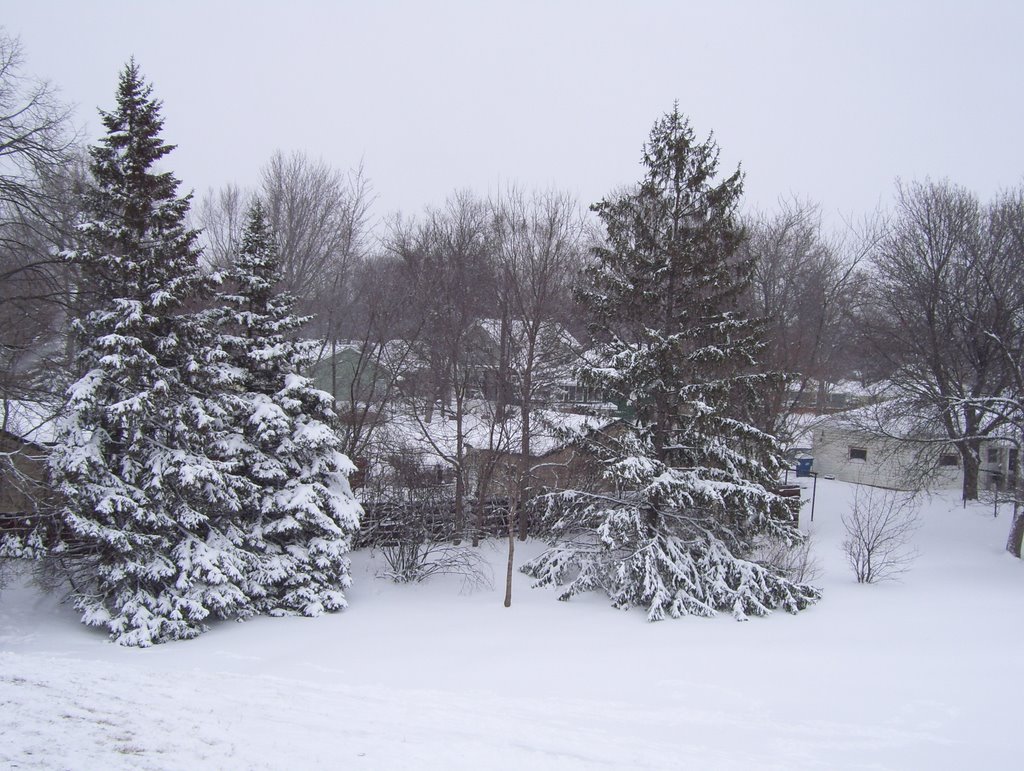 BEAUTIFUL WINTER IN MINNEAPOLIS, MN/ HERMOSO INVIERNO EN MINEAPOLIS, MN.