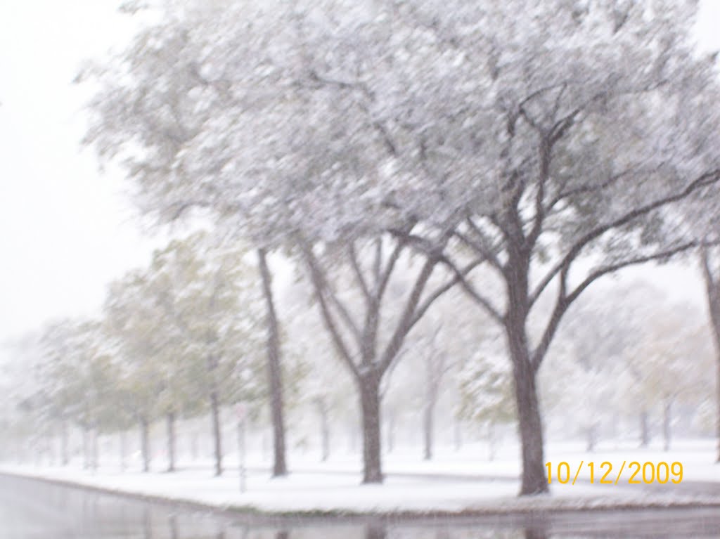 First snow, 2009, Victory Memorial Drive