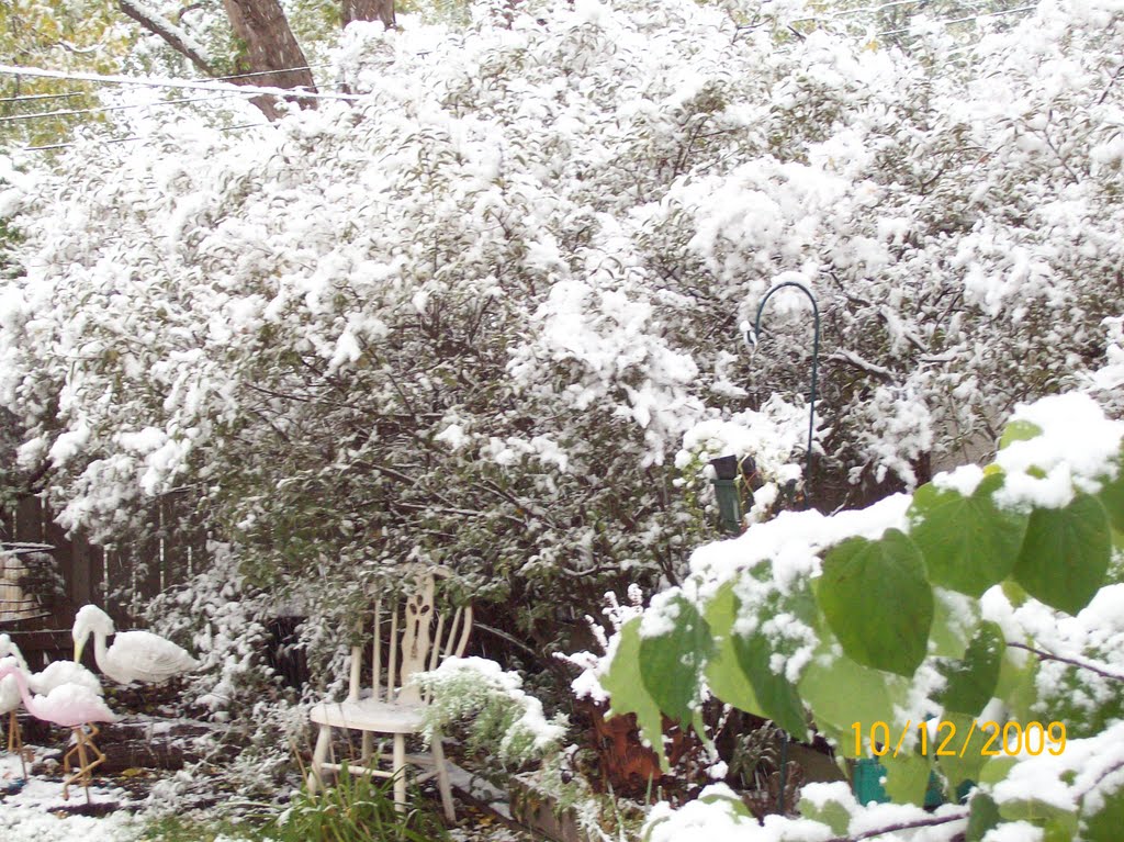 Early snow, backyard shrubs and flamingos
