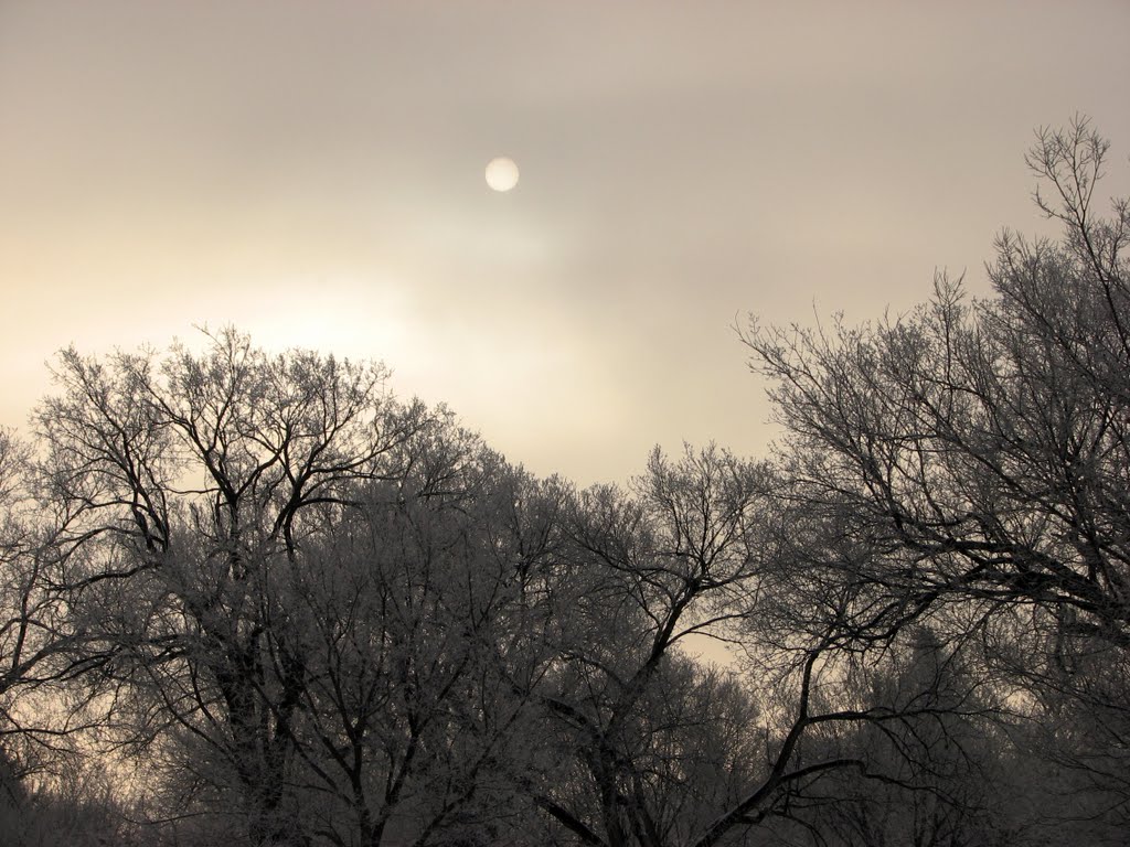 Sunrise in snowstorm -- 2