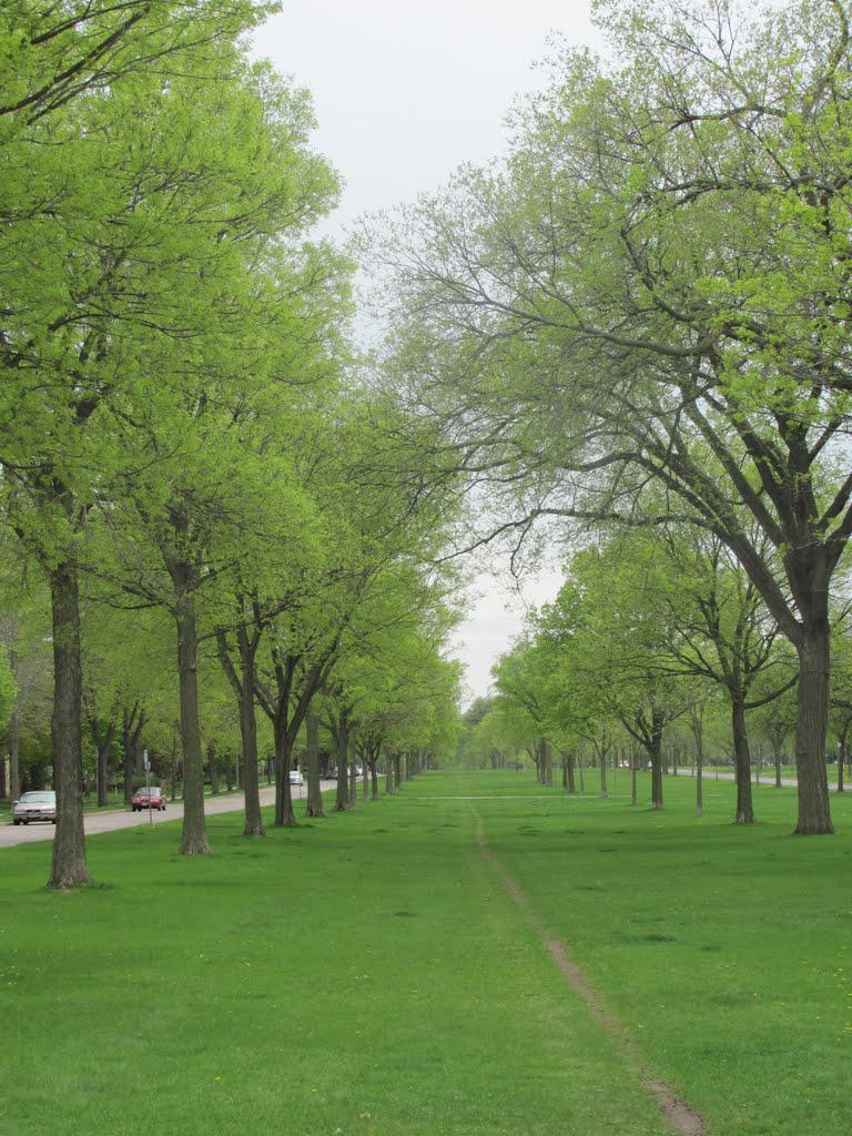 Springtime- Victory Memorial Parkway
