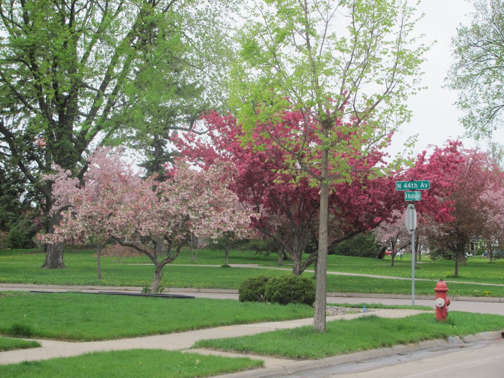 44th & Washburn Avenues North