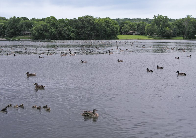 Silver Lake Park