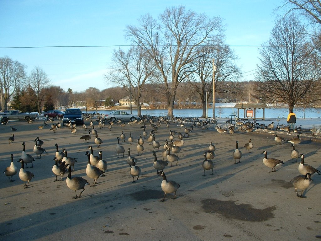 Winter in Rochester, MN, US