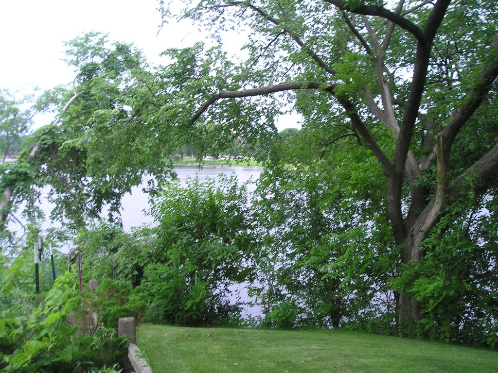 Summer at Silverlake in Rochester,MN