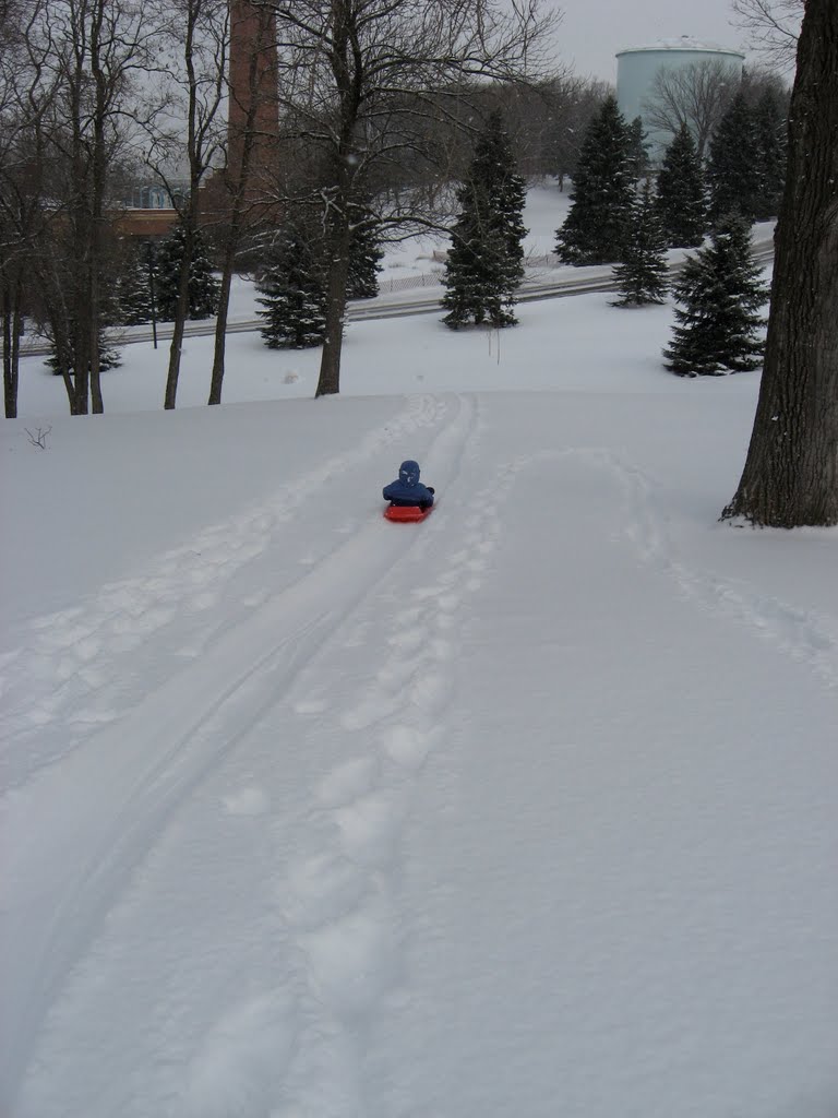 Sledding in St Marys Park, January 2009