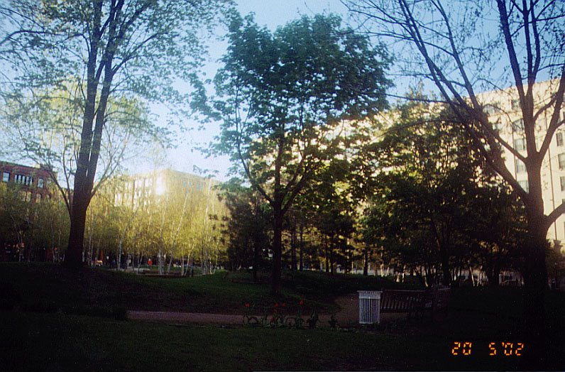 vista hacia el Norte desde el Mears Park