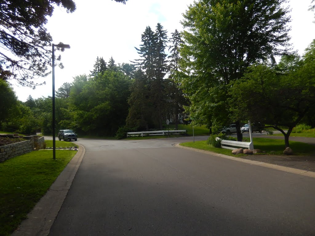Forest Road