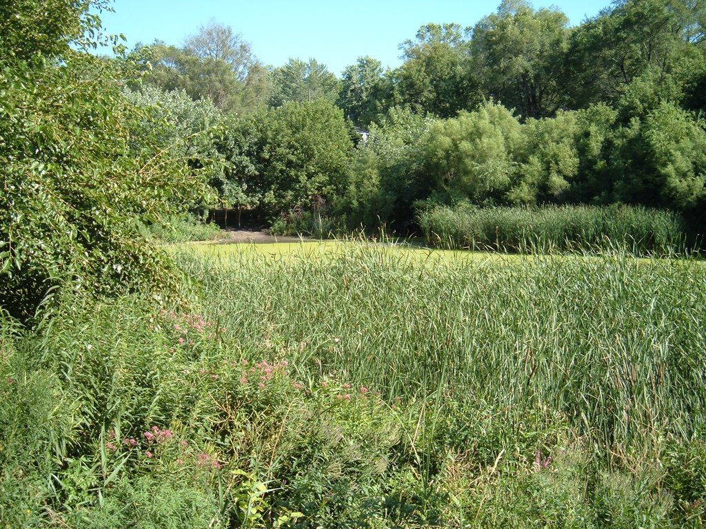 Aug 2005 - St. Louis Park, Minnesota. Otten Pond.