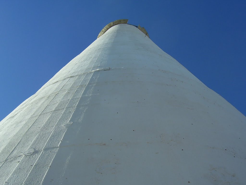 Looking Up The Peavey-Haglin Experimental Concrete Grain Elevator