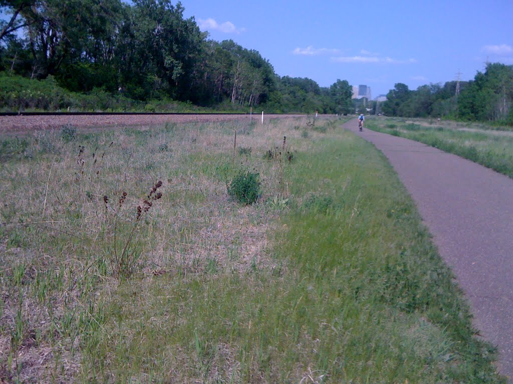 Cedar Lake meadow in May