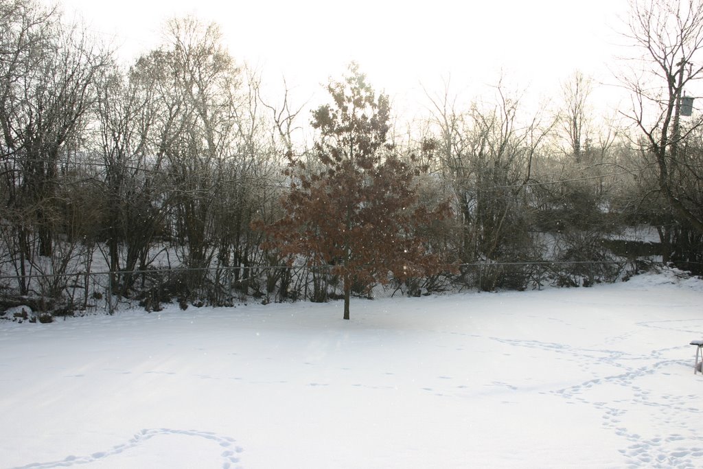 Winter in Minnesota
