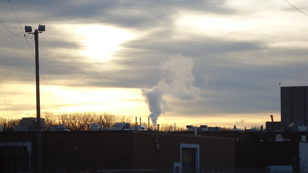 Sun That Set Early in The Afternoon