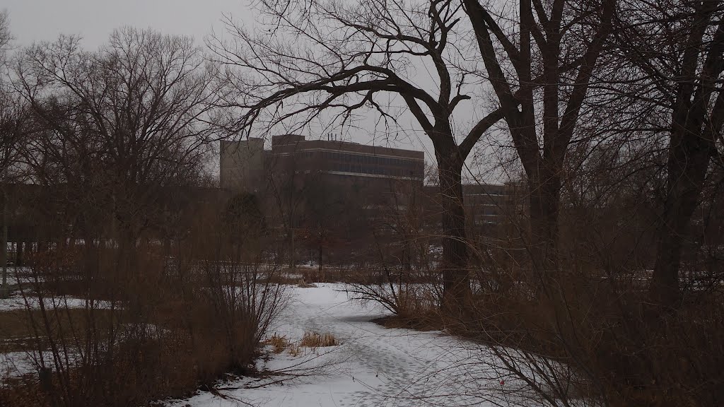 Park Nicollet