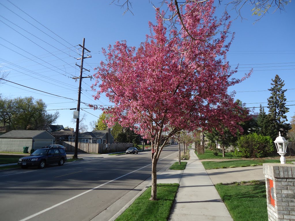 Alabama Ave
