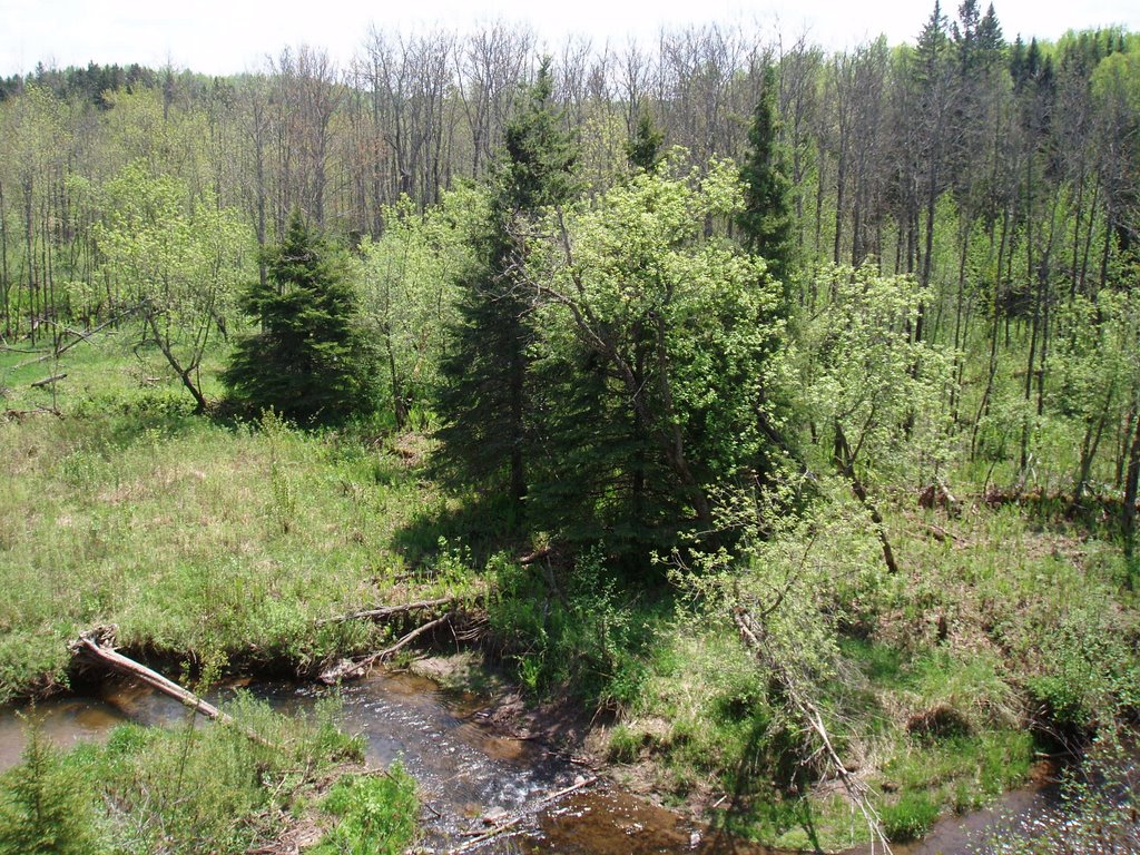 Overlooking Silver Creek @ Jay Cooke State Park