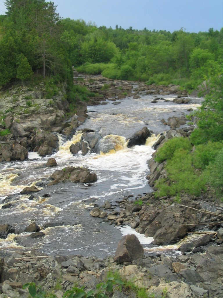 Thomson Reservior