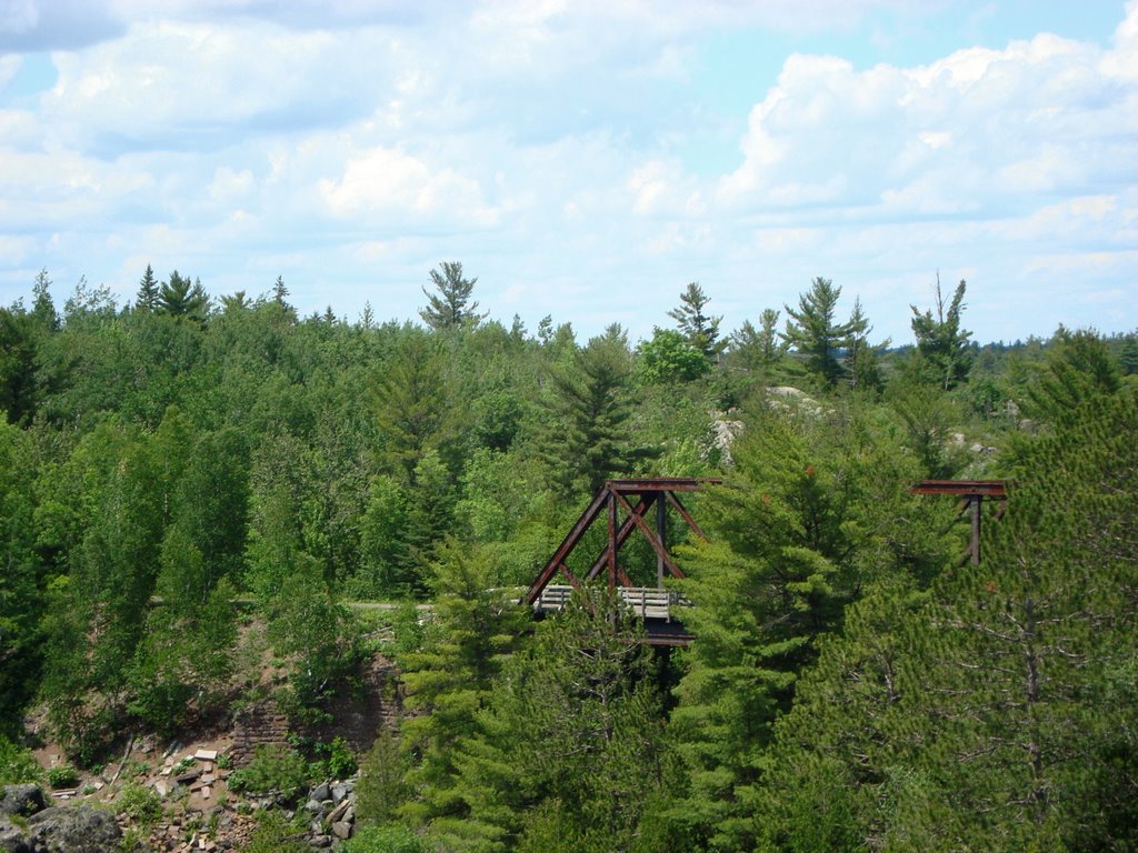 Looking towards the Munger State Trail
