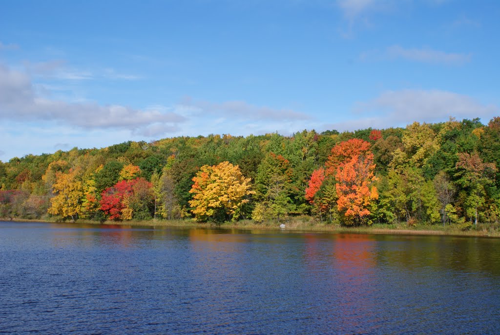 Colors on the Lake