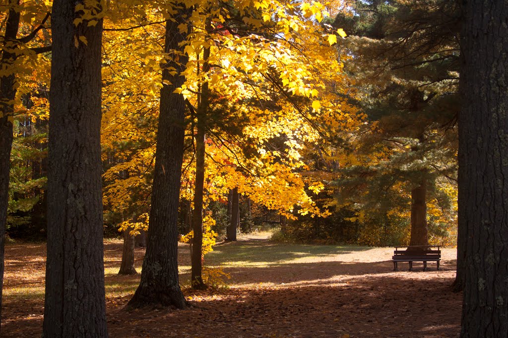 Autumn in Pinehurst