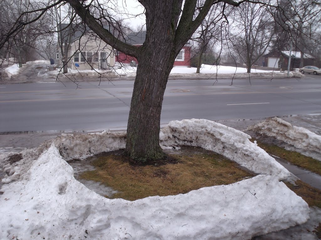 Death of a snow fort