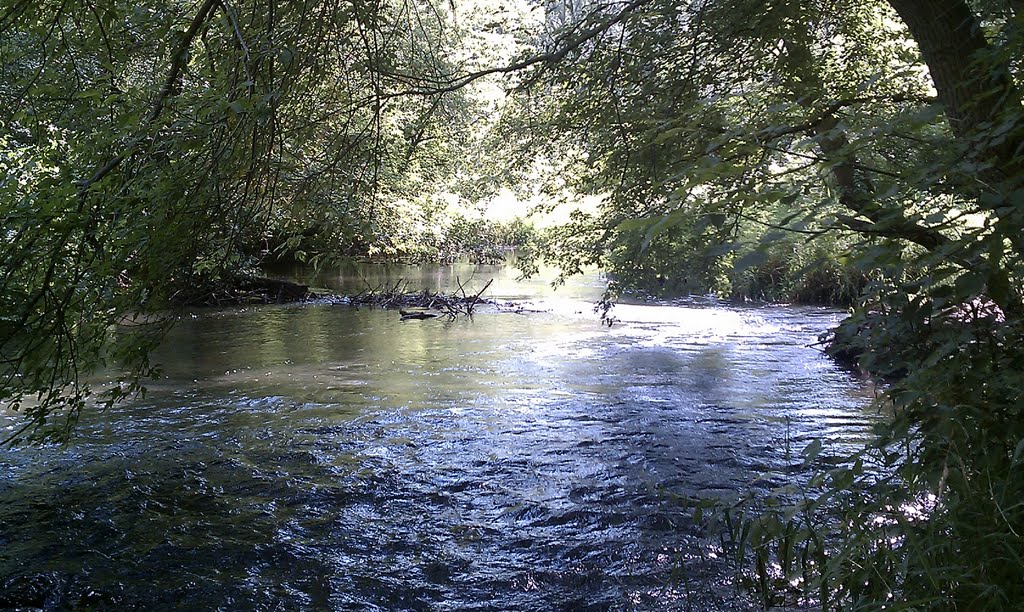 Vermillion River