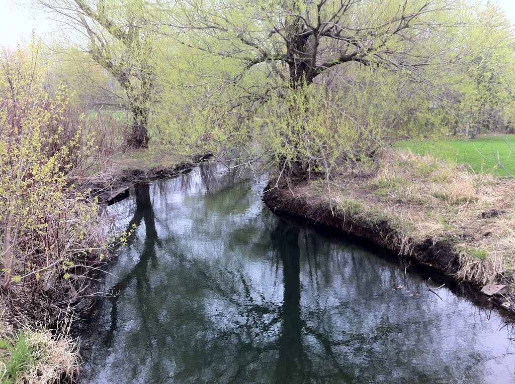 The Rambling River